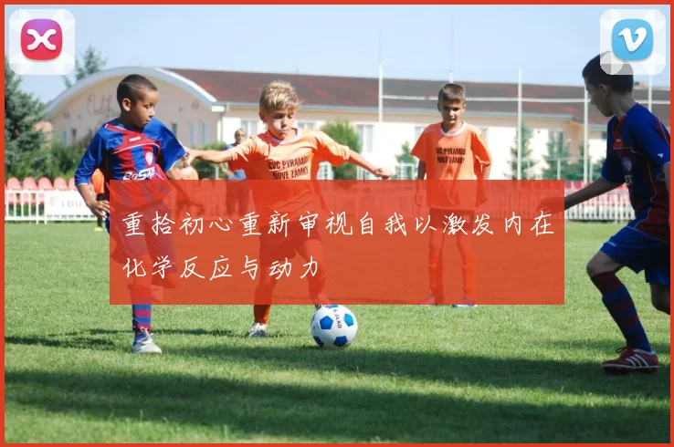 重拾初心重新审视自我以激发内在化学反应与动力