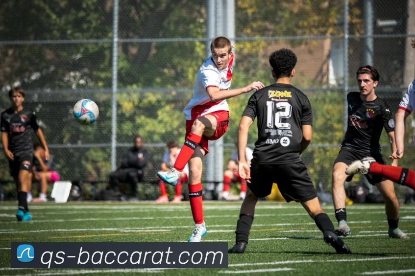 百家乐网站APP 封面图