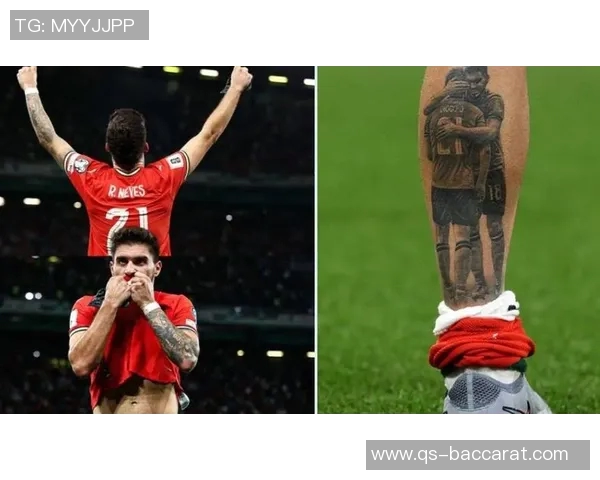 葡萄牙国家队宣布若昂内维斯受伤塔瓦雷斯紧急入选替补阵容